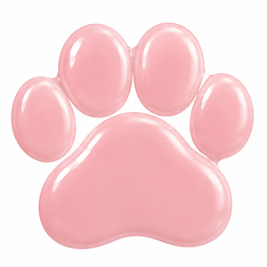 Claresa PAWfect Lip Gloss, Lipgloss 01 Velvet Whiskers, 4,7 g