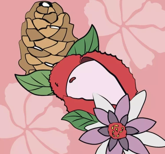 Mexx Black Woman Eau de Toilette Spray 30 ml