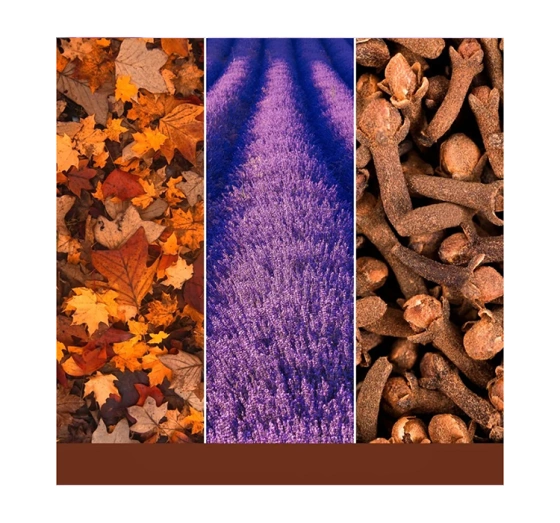 Kliknij na zdjęcie, aby je powiększyć Yankee Candle Signature Tumbler Große Duftkerze Autumn Daydream 567 g