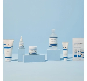 Round LAB Birch Juice Feuchtigkeitsspendender Gesichtstoner 300ml