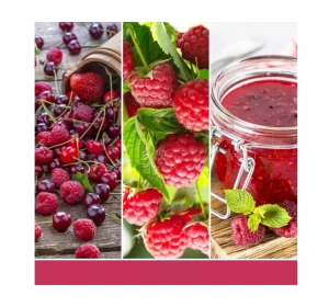 Yankee Candle Signature Mini Duftkerze Red Raspberry 37 g