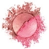 BOURJOIS LE DUO BLUSH ROUGE 01 2,4G