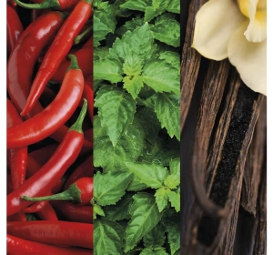 Avon Attraction Instinct for Him Eau de Toilette Spray 75 ml 