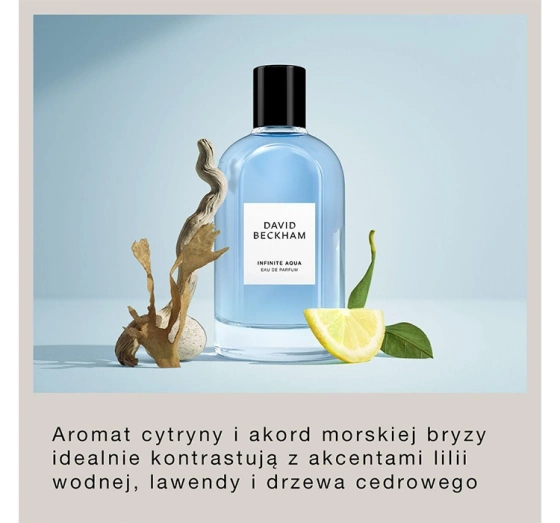 David Beckham Infinite Aqua Eau de Parfum Spray 100ml
