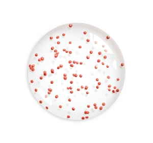 Bourjois Healthy Mix Feuchtigkeitsspendender Serum-Primer 30 ml