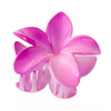 eCarla Haarklammer im Hawaii-Stil „Vacay Flower“ SP380 Pink Violet Ombre