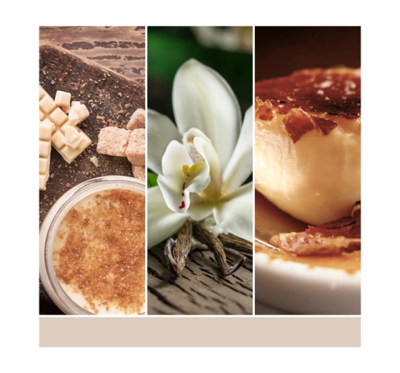 Kliknij na zdjęcie, aby je powiększyć Yankee Candle Duftwachs Vanilla Crème Brulee 22 g