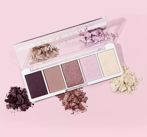 WET N WILD COLOR ICON LIDSCHATTENPALETTE PETALETTE 6G