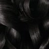 GARNIER OLIA PERMANENTE HAARFARBE OHNE AMMONIAK 1.0 DUNKELSCHWARZ