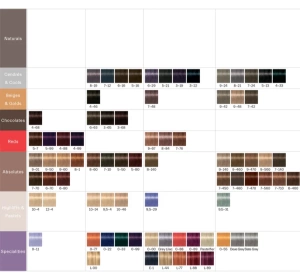 SCHWARZKOPF IGORA ROYAL HAARFARBE 6-99 60ML