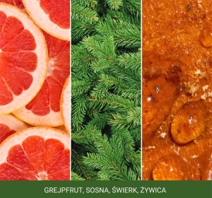 Yankee Candle Signature Mini-Duftkerze White Spruce & Grapefruit 37 g