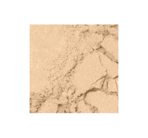 Bell Professional Blur Perfect Gesichtspuder 02 10g