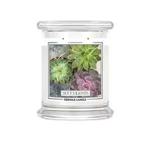 KRINGLE CANDLE DUFTKERZE MITTLERES GLAS MIT 2 DOCHTEN SUCCULENTS 411G