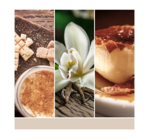 Yankee Candle Signature Tumbler Duftkerze Vanilla Crème Brulee 567 g