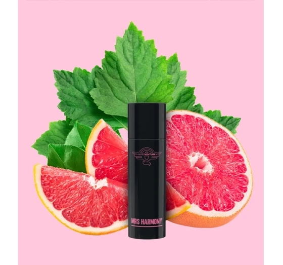 CLEANGANG MOTOVENTURE AUTODUFT SPRAY MRS HARMONY 50ML
