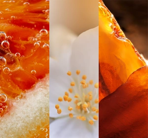 Yankee Candle Signature Tumbler Duftkerze Glistening Leaves 122 g