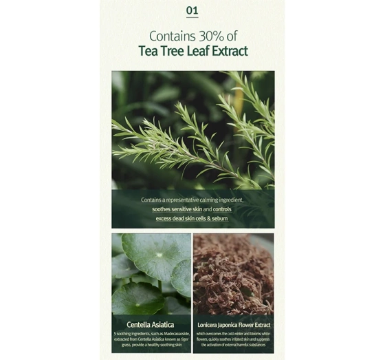 Pyunkang Yul Calming Acne Reinigungsschaum Akne 100ml