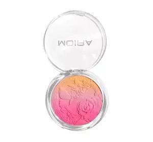 MOIRA SIGNATURE WANGENROUGE OMBRE 04 MORNING SUNSIHNE 9G