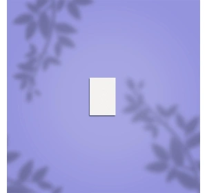 Staleks Pro Expert Rechteckiger Mini-Buffer 51 100/180 grit 50 Stück