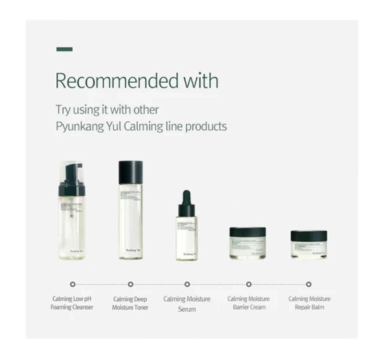 Pyunkang Yul Calming Acne Reinigungsschaum Akne 100ml