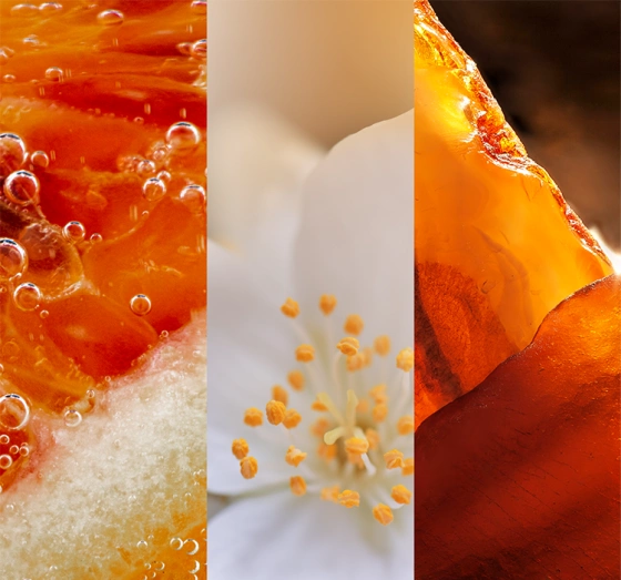 Kliknij na zdjęcie, aby je powiększyć Yankee Candle Signature Tumbler Duftkerze Glistening Leaves 122 g