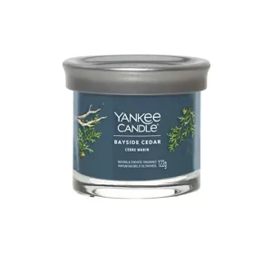Yankee Candle Signature Duftkerze Tumbler Bayside Cedar 122g